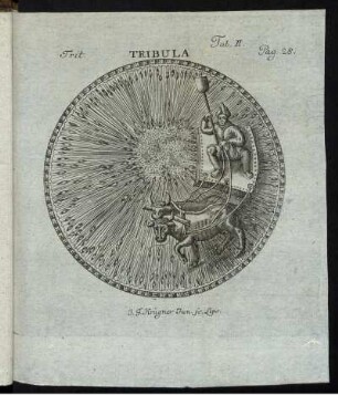 Tab. II. Pag. 28. Tribula.