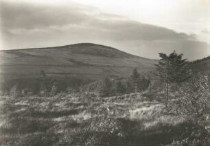 Der Kleine Fichtelberg. Blick aus dem oberen Teil des Zechengrundes