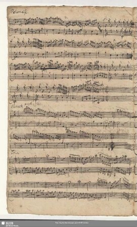 Menuet. presto. assai. / Trio.