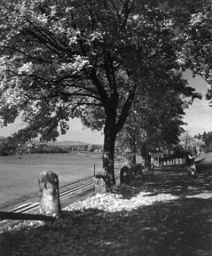 Landstraße mit Baumreihe, parallel zu einer Eisenbahnlinie