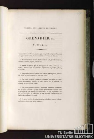 Grenadier. Duh. Punica. Lin.
