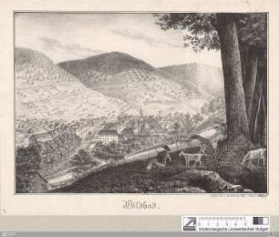 Wildbad