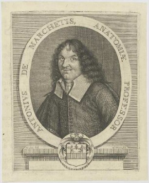 Bildnis des Antonivs de Marchetis