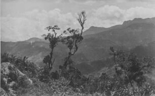 Landschaft im Süden Kolumbiens (Lateinamerika-Aufenthalte 1928/1942 – Album Das Vulkanland im Süden Kolumbiens. I. Teil, 1940)