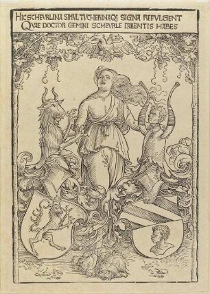 Hic Scheurlina Simul Tucherinaq Signa Refulgent quae Doctor Gemini Scheurle Parentis Habes