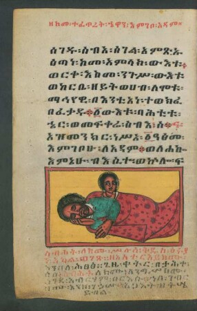 Illustration: f. 28v-29r