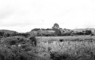 Landschaft : Blick über eine Savannenlandschaft