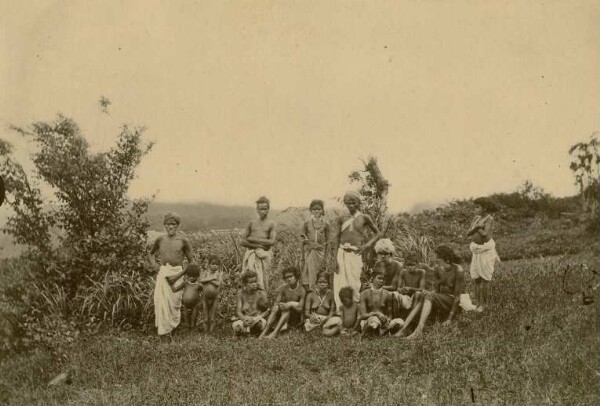 Coffee plantation workers