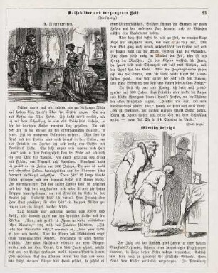 "Reisebilder aus vergangener Zeit" "Wörtlich befolgt"