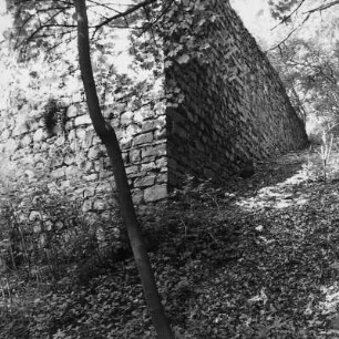 Ehem. Hof Wehrholz; Weilburg, Am Wehrholzhofe