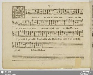 VII. Haec est vita aeterna