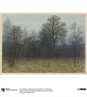 Wald im Herbst
