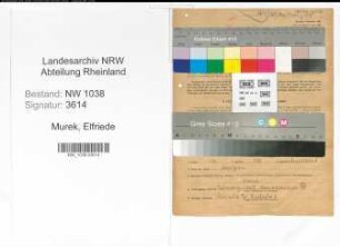 Entnazifizierung Elfriede Murek , geb. 31.03.1920 (Angestellte)