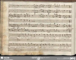 Recitativo: Se dell'armi il decoro