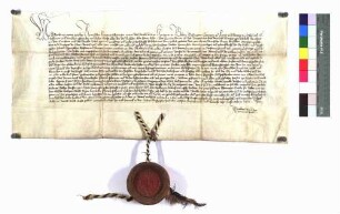 König Albrecht bestätigt der Stadt Rottweil alle von seinen Vorfahren ihr erteilten Privilegien, Freiheiten und Pfandschaften.