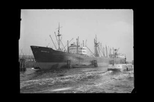 Braunfels (1952), Frachtschiff (reefer), D.D.G. "Hansa", Bau-Nr. 692