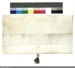 Revers Philipps von Thüngen bezüglich der Belehnung mit einem Burggut in Bad Brückenau und weiteren im Einzelnen aufgeführten Lehen durch Wolfgang [Schutzbar gen. Milchling], Abt von Fulda