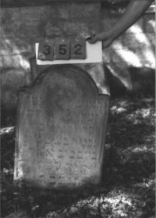 Grabstein 352 (Index: 99609989) Material: Sandstein Zustand: stark verwittert, teilweise Textverlust Maße HxBxT: 76x50x10 cm Beschreibung: Stele, eingezogener Segmentbogenabschluß, Schriftfeld abgegrenzt: Grabstein 352