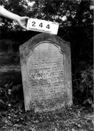 Grabstein 244