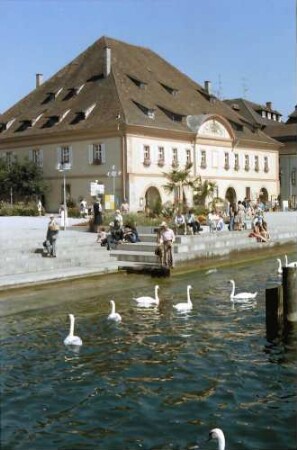 Überlingen: Schwäne am Hafenplatz