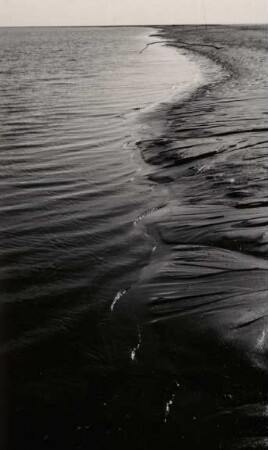 Prielufer, Watt