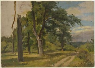 Waldwiese