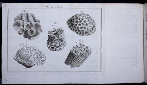 Plaat CXXVII.
