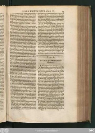 Cap. V. De Patribus, qui Petram Petrum interpretantur.