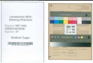 Entnazifizierung Eugen Strietholt , geb. 17.04.1901 (Geschaeftsfuehrer)