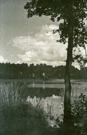 Teich