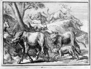 Het Cremoneesche Vreugdevuur - aus der Folge "Esopus in Europa" (Heft 31)