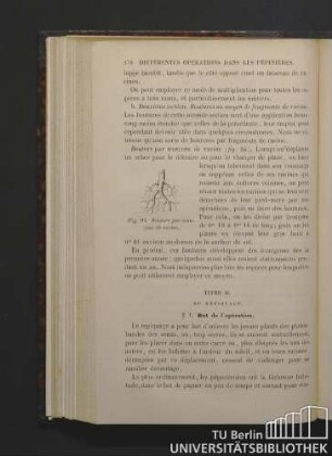 Titre II. Du repiquage.