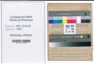 Entnazifizierung Wilhelm Hendricks , geb. 08.05.1893 (Former)