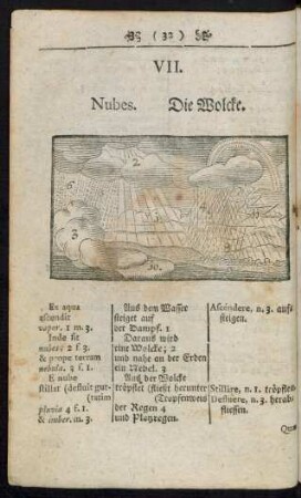 VII. Nubes. Die Wolcke