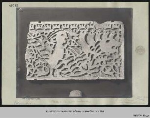 Fragment