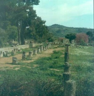 Olympia. Ruinen des Gymnasions