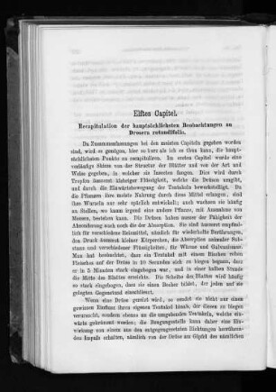 Elftes Capitel. Recapitulation der hauptsächlichsten Beobachtungen an Drosera rotundifolia