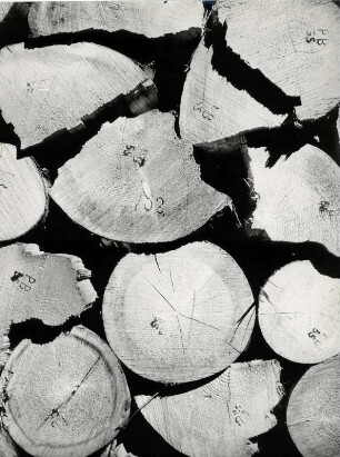 Holzstapel, Detail