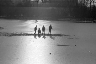 Wintertag im Stadtgarten.