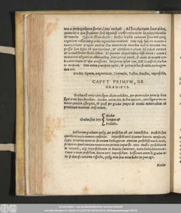 Caput Primum, De Gradibus.