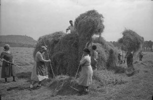 Auswirkung der langen Trockenheit auf die Landwirtschaft: frühzeitige Heuernte.