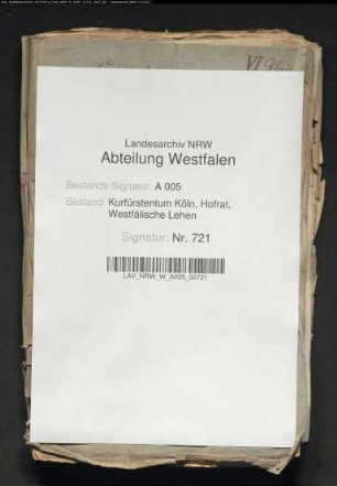 Hallisches Waisenhaus gegen von Canstein wegen Herausgabe des Allodialgutes, Band 6