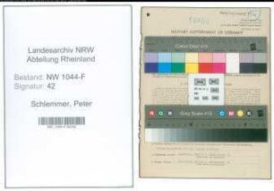 Entnazifizierung Peter Schlemmer , geb. 12.12.1893 (Bankleiter)