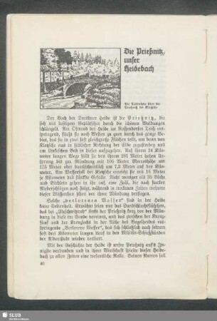 Die Prießnitz, unser Heidebach