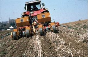 Fotografie: Säverfahren, Einzelkornsaat, Mais, Mulchsaat, Zwischenfrucht