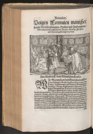 Volgen Formulen manicher handt Verschreibungen/ Bullen vnd Instrument