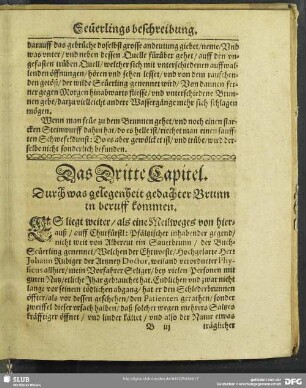 Das Dritte Capitel. Durch was gelegenheit gedachter Brunn in beruff kommen
