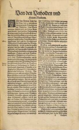 De lamiis : Das ist von Teuffelsgespenst, Zauberen und Gifftbereytern, kurtzer doch gründtlicher Bericht, was für Unterscheidt unter den Hexen und Unholden, und den Gifftbereytern, im straffen zu halten, darmit beydes den Richter im Urtheil fällen und verdammen nicht zu viel thun, ihr Gewissen beschweren, und das unschuldiges Blut zu vergiessen, verhütet werde