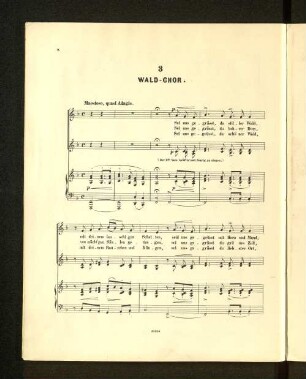 3. Wald-Chor.