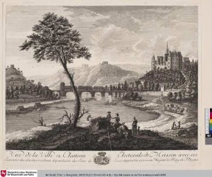 Vue de la Ville et Chateau Electorale de Meissen